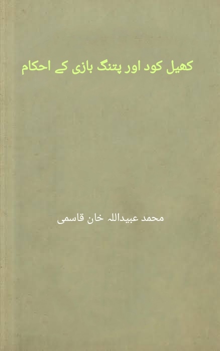 کھيل کود اور پتنگ بازي Cover