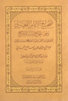 صحيح البخاري ١٧-٣٠ Cover