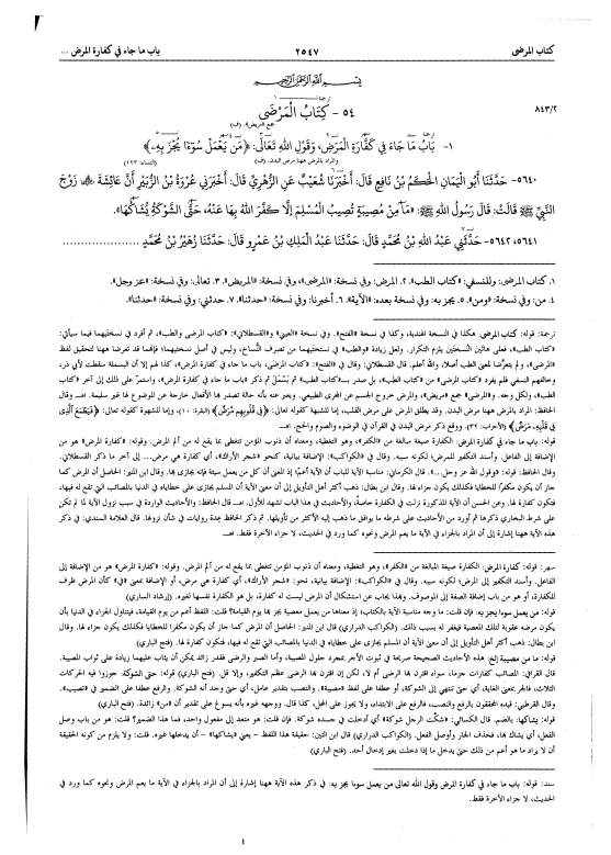 صحیح بخاری 04 مکتبہ بشری Cover