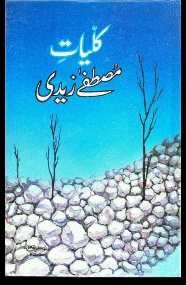 کلیات مصطفی زیدی Cover