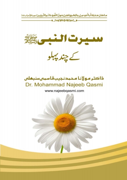 سیرت النبی کےچندپہلو Cover