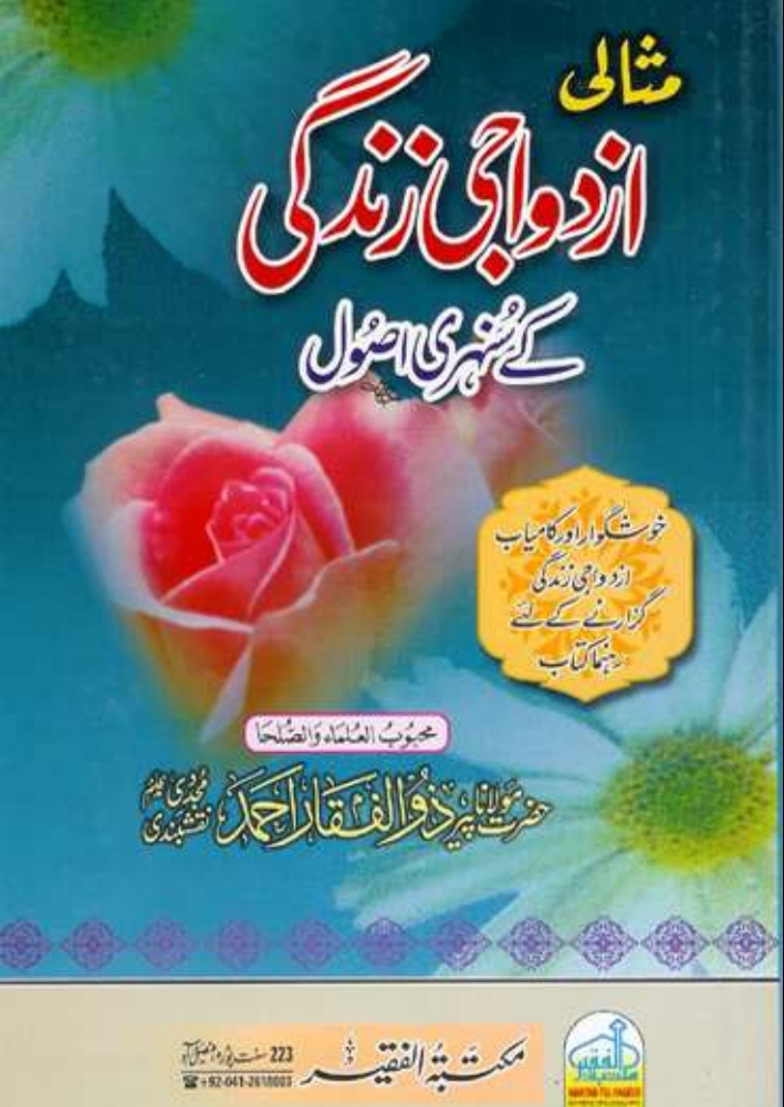 مثالی ازدواجی زندگی ٧ Cover