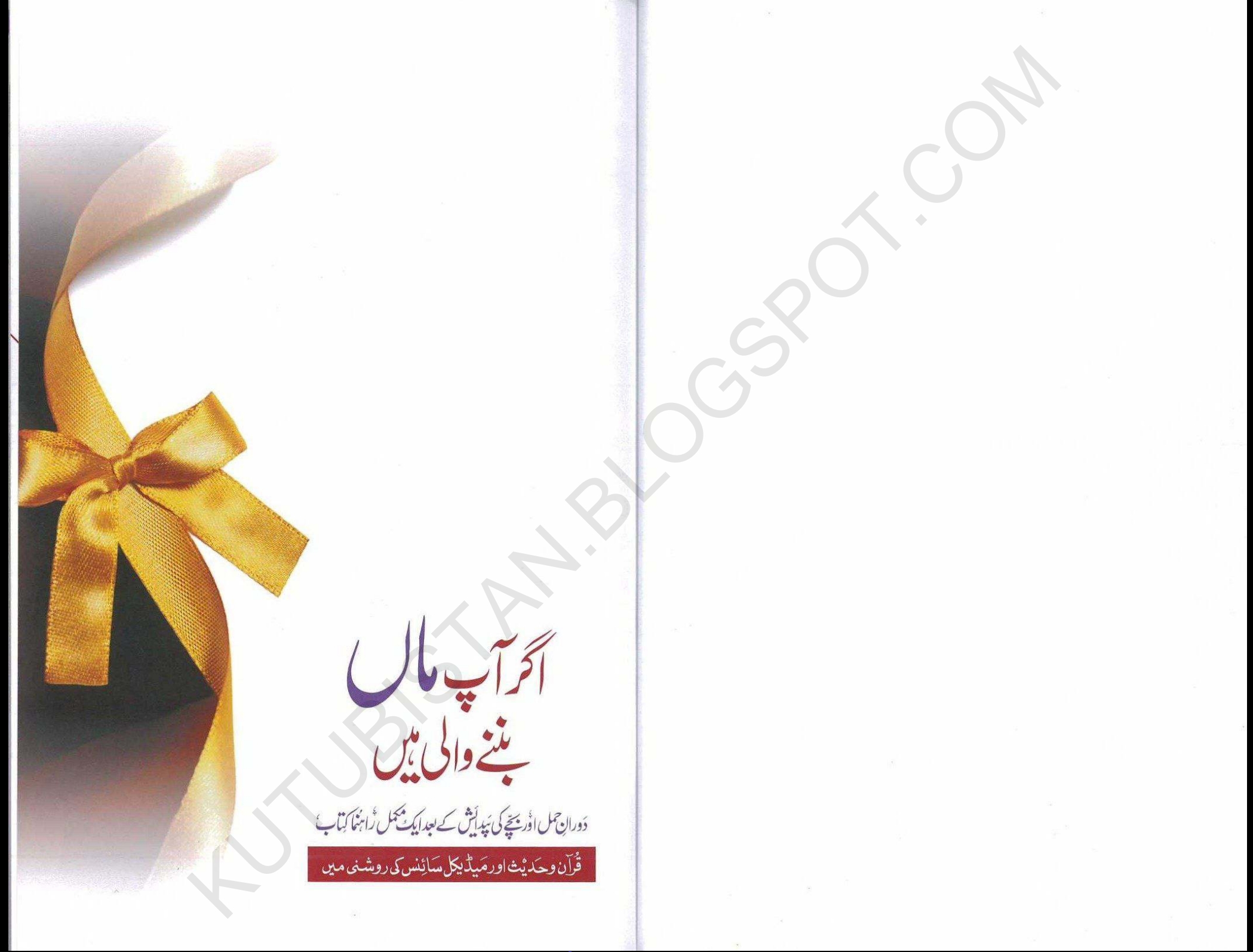 اگر آپ ماں بننے والی ہیں  Cover