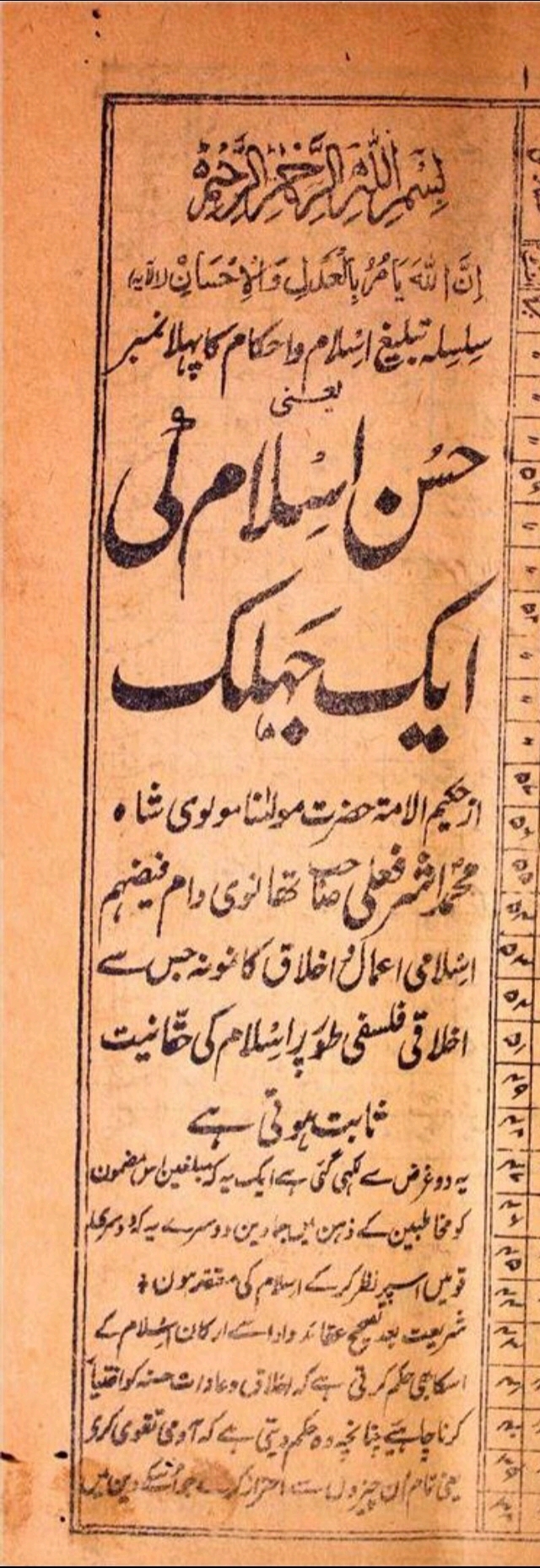 حسنِ اسلام کی ایک جھلک Cover