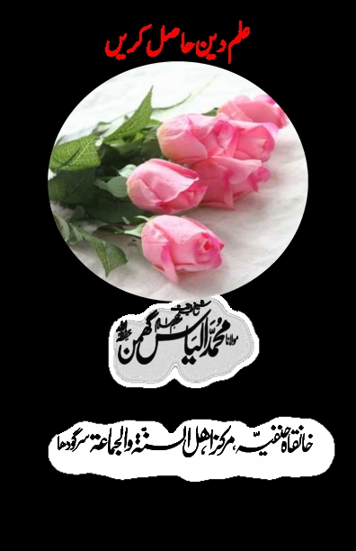  علم دین حاصل کریں  Cover