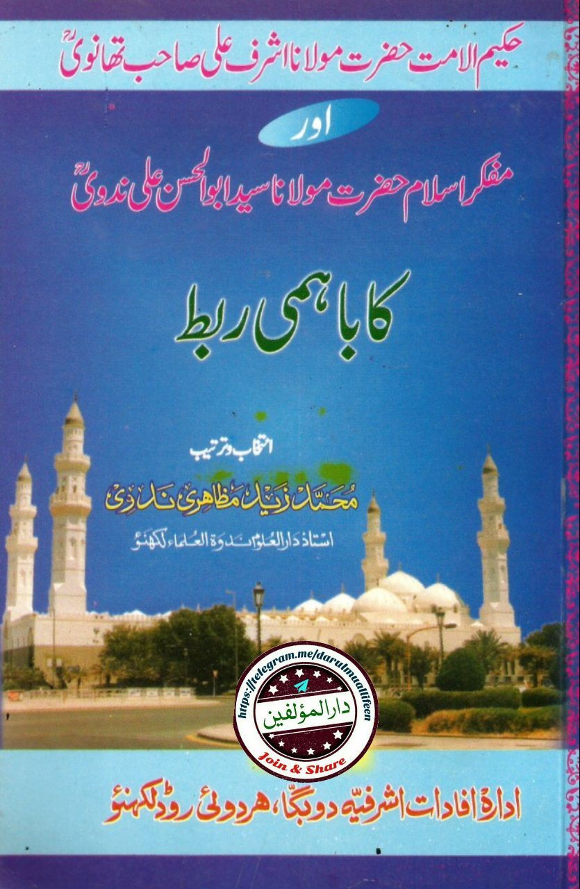 حکیم الامت اور مفکر اسلام Cover